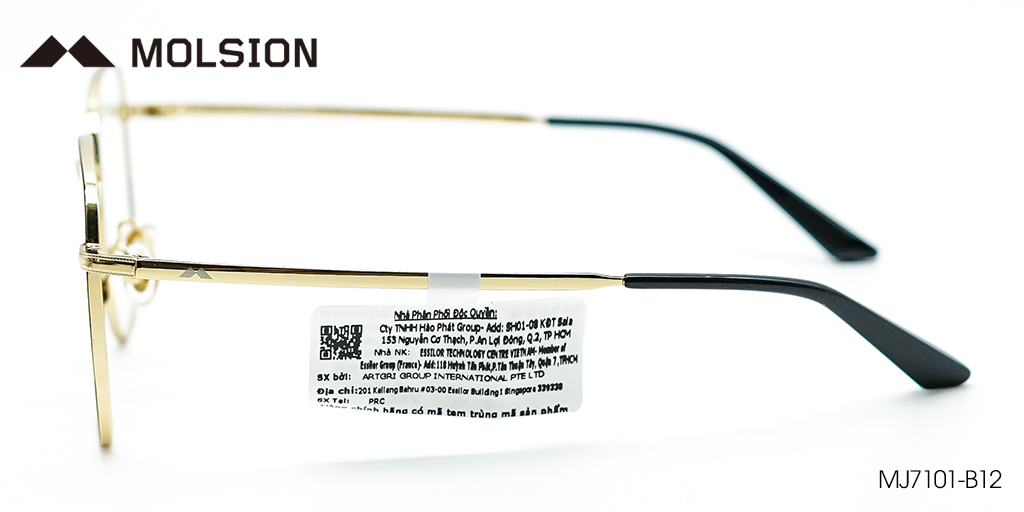 Gọng Kính Molsion MJ7101 B12 - Hình 5
