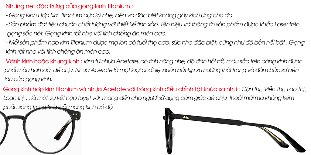 GỌNG KÍNH MOLSION MJ3008 B12 - Hình 5