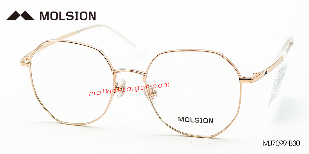 GỌNG KÍNH MOLSION MJ7099 B30