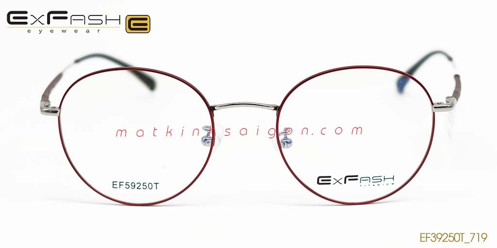 GỌNG KÍNH HỢP KIM EXFASH EF59250T_719 - Hình 3