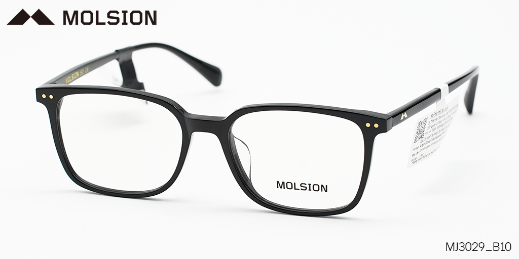GỌNG KÍNH MOLSION MJ3029 B10