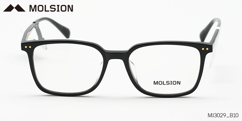 GỌNG KÍNH MOLSION MJ3029 B10 - Hình 3