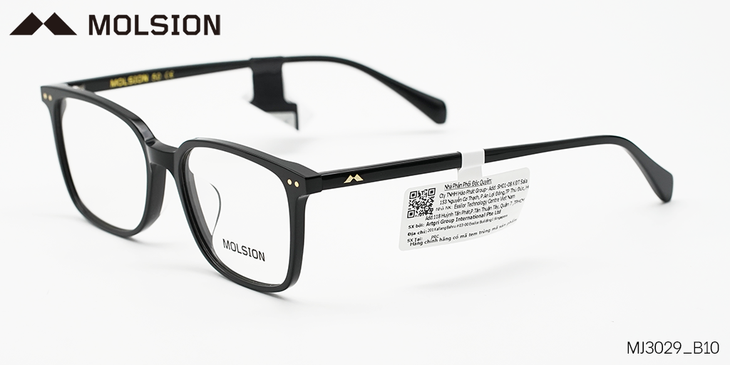 GỌNG KÍNH MOLSION MJ3029 B10 - Hình 5