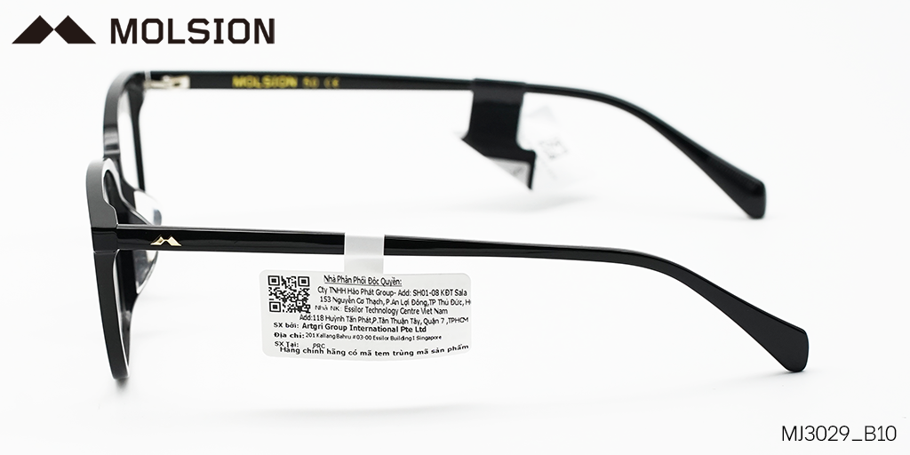GỌNG KÍNH MOLSION MJ3029 B10 - Hình 6