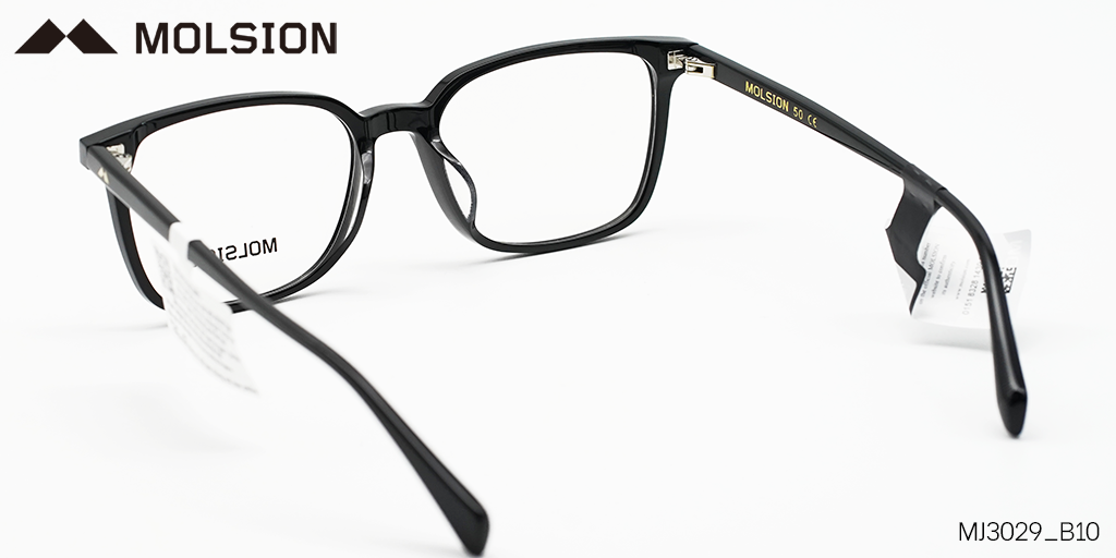 GỌNG KÍNH MOLSION MJ3029 B10 - Hình 4