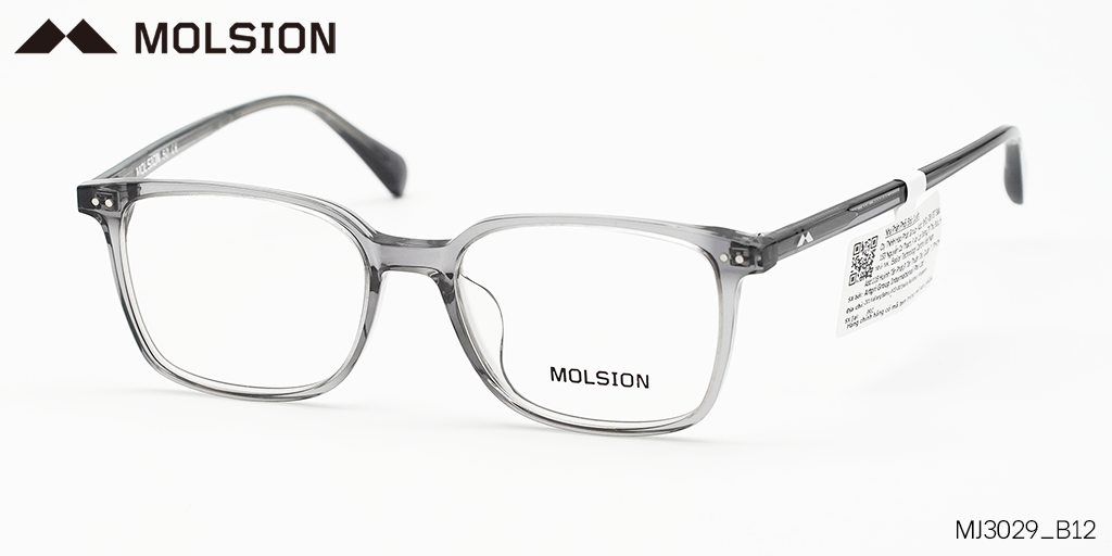 GỌNG KÍNH MOLSION MJ3029 B12