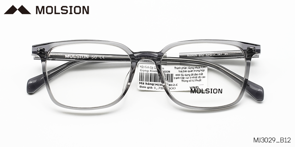 GỌNG KÍNH MOLSION MJ3029 B12 - Hover