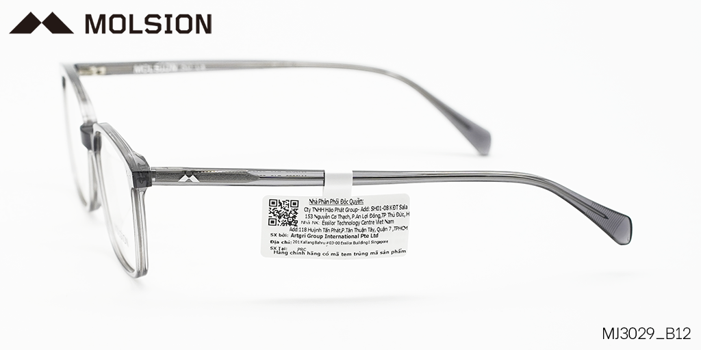 GỌNG KÍNH MOLSION MJ3029 B12 - Hình 7