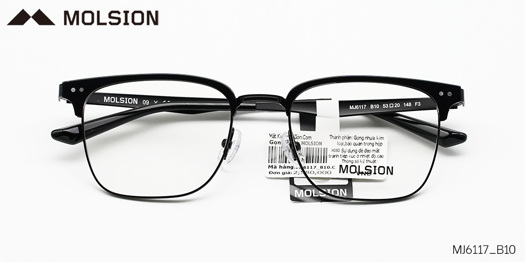 GỌNG KÍNH MOLSION MJ6117 B10 - Hover