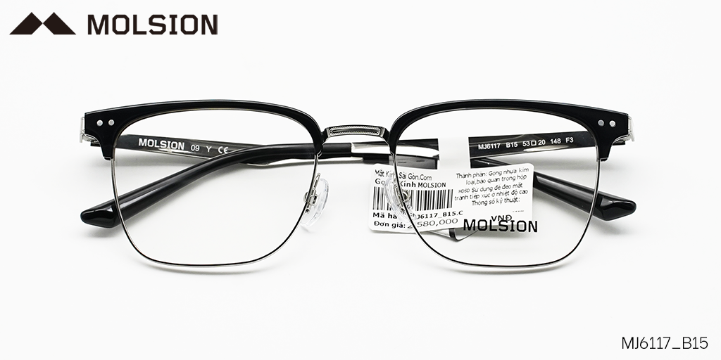 GỌNG KÍNH MOLSION MJ6117 B15 - Hover