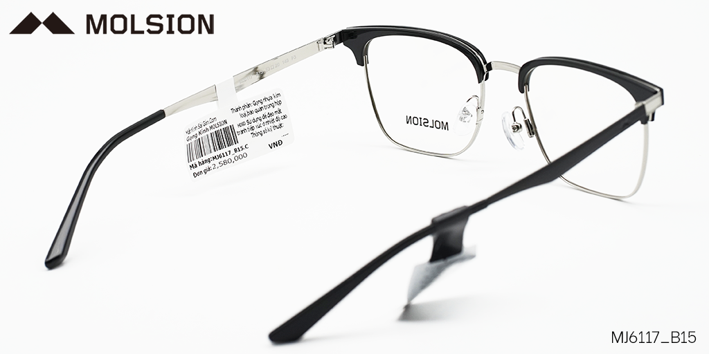 GỌNG KÍNH MOLSION MJ6117 B15 - Hình 4
