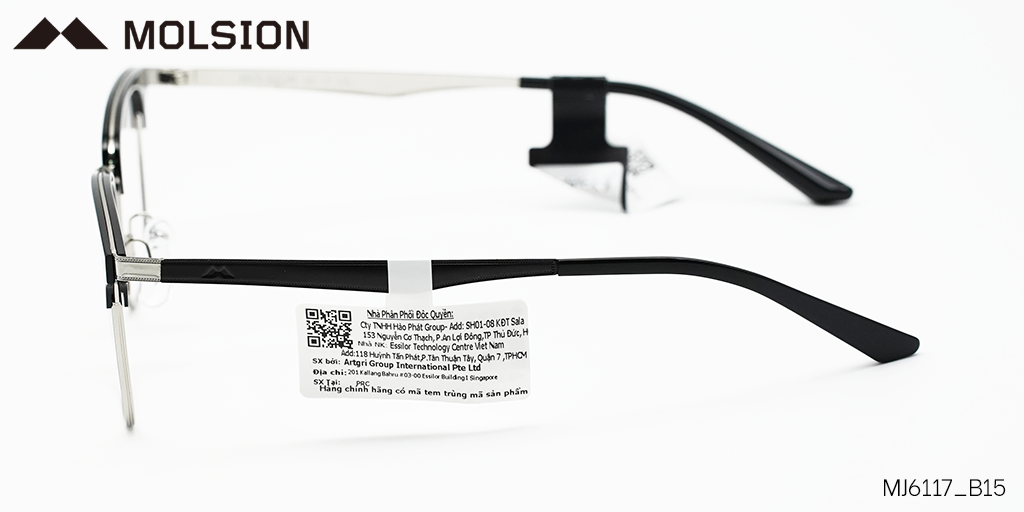GỌNG KÍNH MOLSION MJ6117 B15 - Hình 6