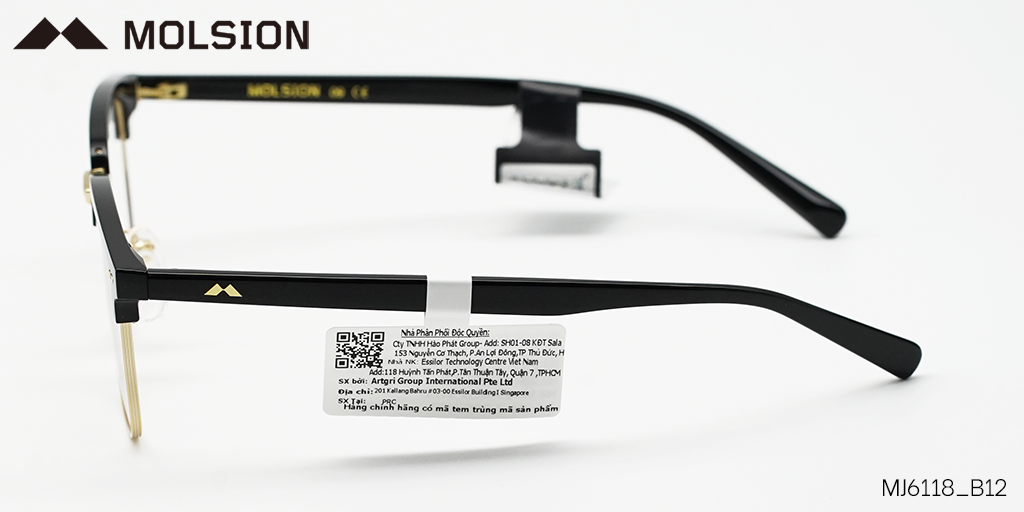 GỌNG KÍNH MOLSION MJ6118 B12 - Hình 5