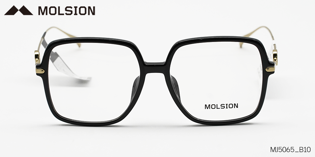GỌNG KÍNH MOLSION MJ5065 B10 - Hình 3