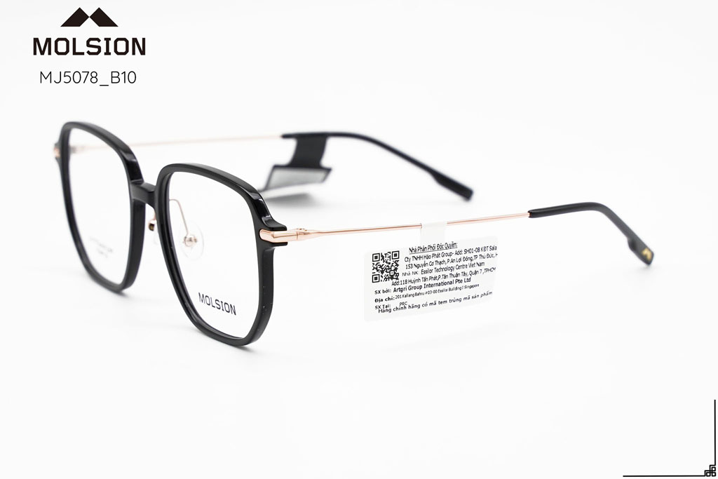 GỌNG KÍNH MOLSION MJ5078 B10 - Hình 6
