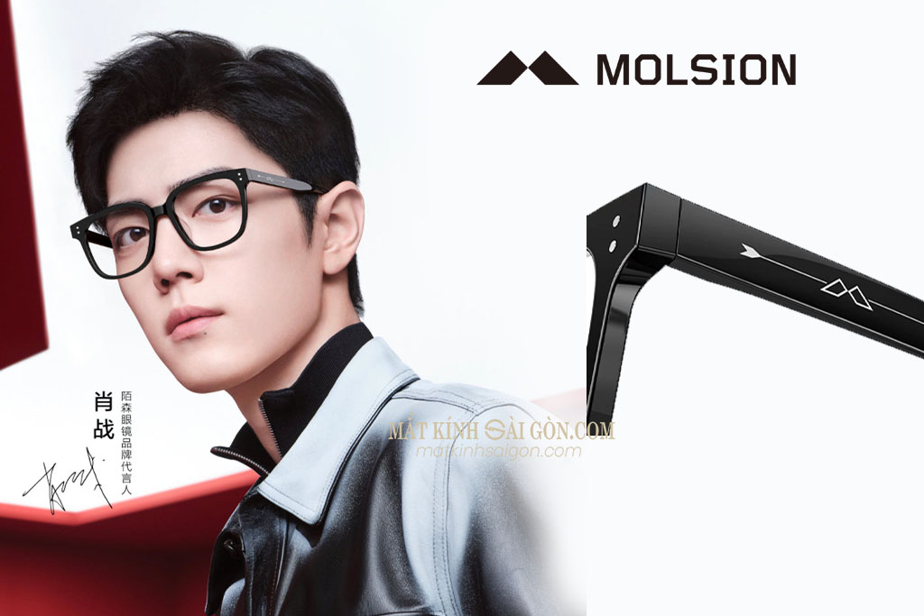 GỌNG KÍNH MOLSION MJ3068 B10 - Hover
