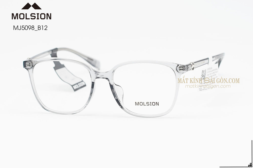 GỌNG KÍNH MOLSION MJ5098 B12
