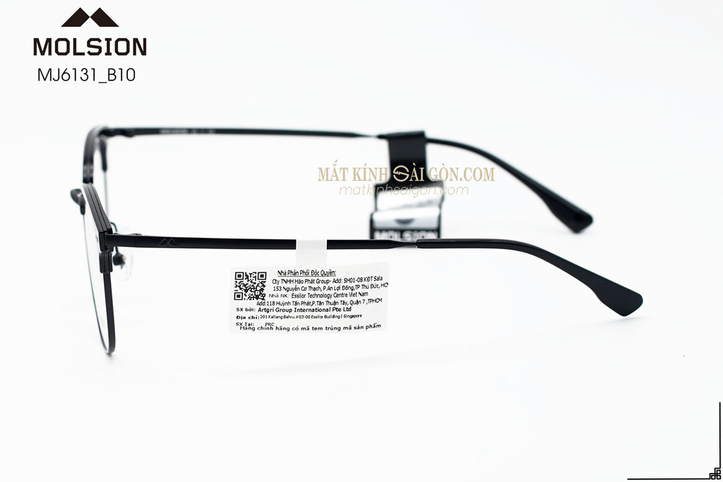 GỌNG KÍNH MOLSION MJ6131 B10 - Hình 7