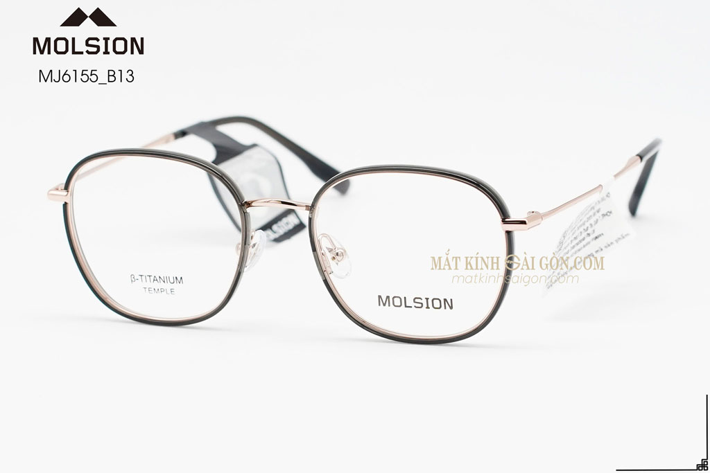 GỌNG KÍNH MOLSION MJ6155 B13
