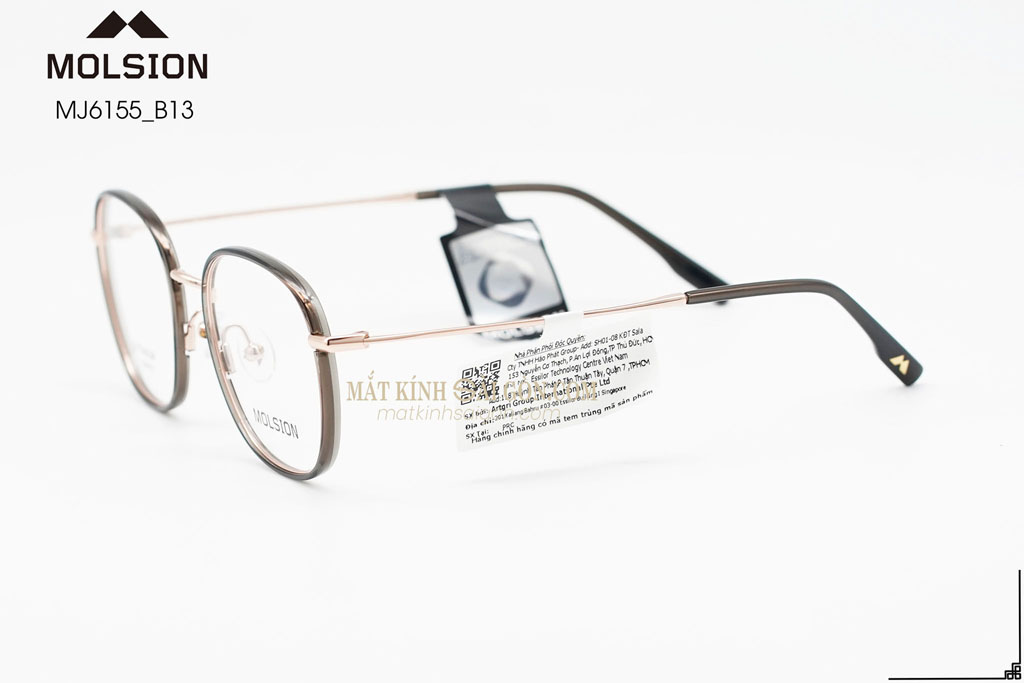 GỌNG KÍNH MOLSION MJ6155 B13 - Hình 5