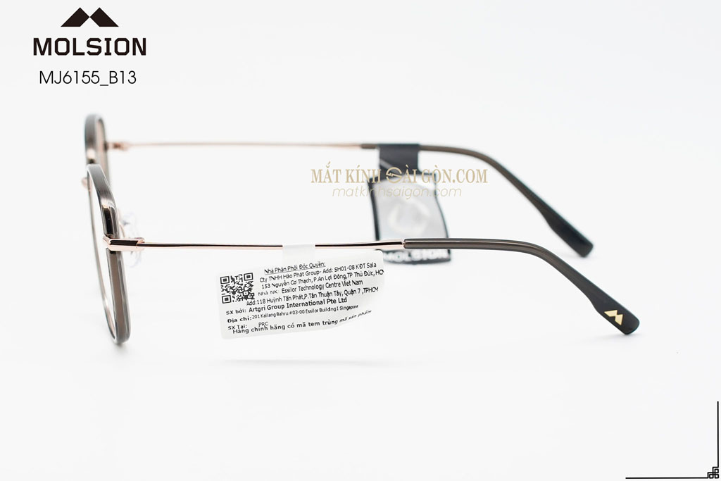 GỌNG KÍNH MOLSION MJ6155 B13 - Hình 6