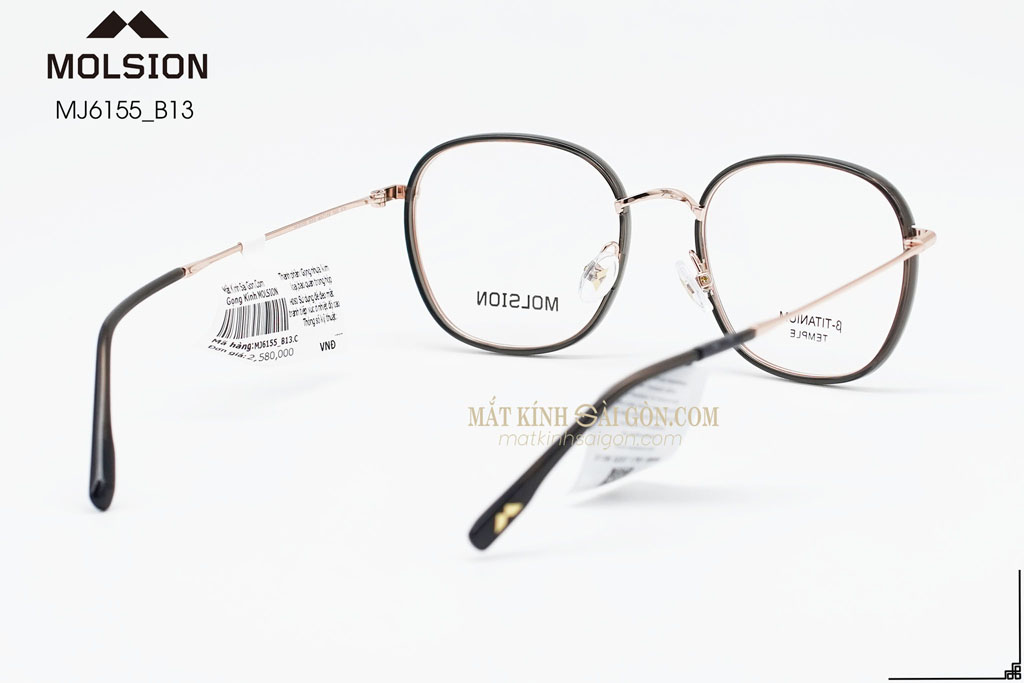 GỌNG KÍNH MOLSION MJ6155 B13 - Hình 3