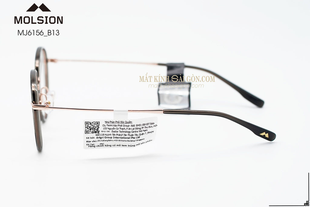 GỌNG KÍNH MOLSION MJ6156 B13 - Hình 7