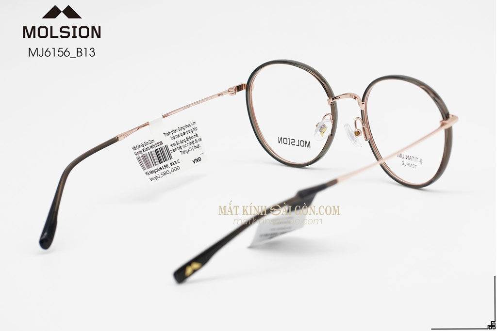 GỌNG KÍNH MOLSION MJ6156 B13 - Hình 4