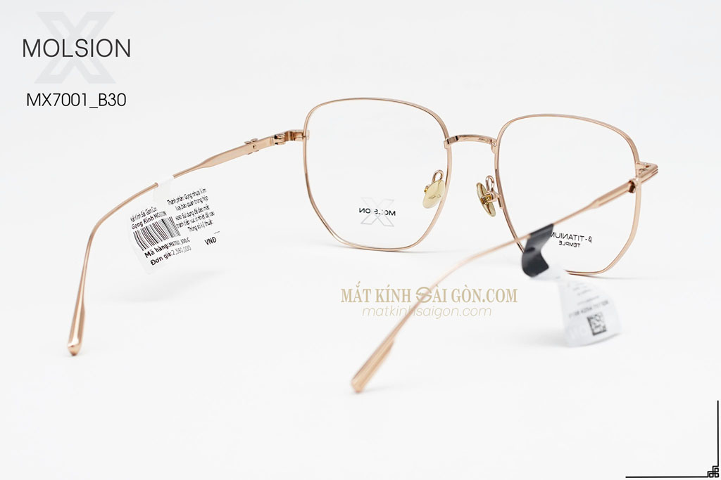 GỌNG KÍNH MOLSION MX7001 B30 - Hình 4