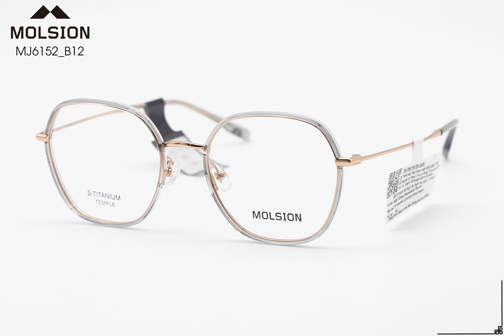 GỌNG KÍNH MOLSION MJ6152 B12 - Hình 5