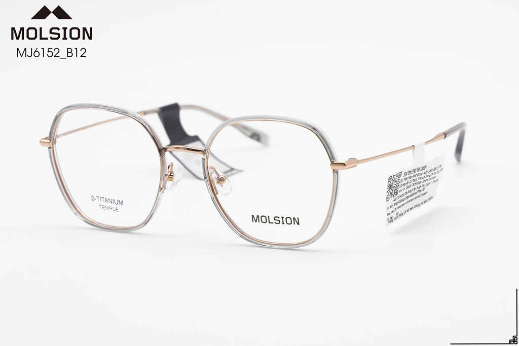 GỌNG KÍNH MOLSION MJ6152 B12 - Hình 6