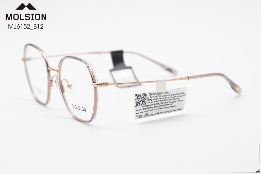 GỌNG KÍNH MOLSION MJ6152 B12 - Hình 7