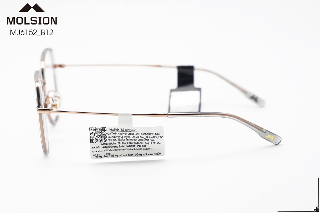 GỌNG KÍNH MOLSION MJ6152 B12 - Hình 8