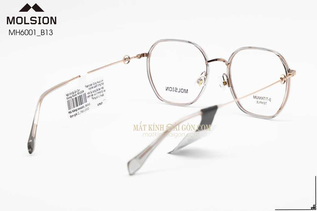 GỌNG KÍNH MOLSION MJ6152 B13 - Hình 4