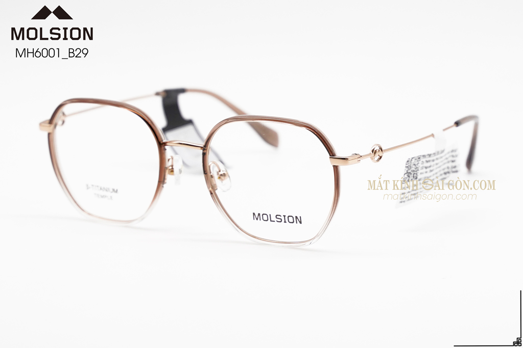 GỌNG KÍNH MOLSION MJ6152 B29 - Hình 5