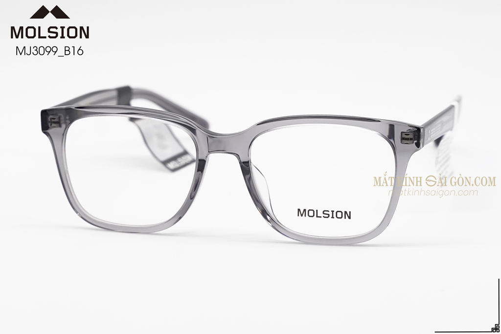 GỌNG KÍNH MOLSION MJ3099 B16