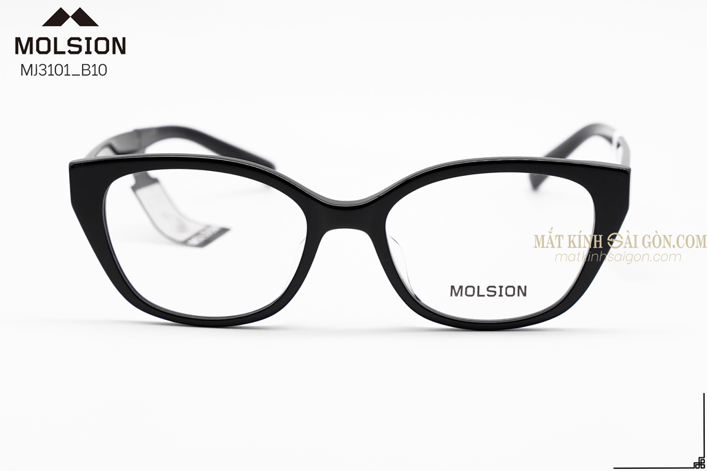 GỌNG KÍNH MOLSION MJ3101 B10 - Hình 2