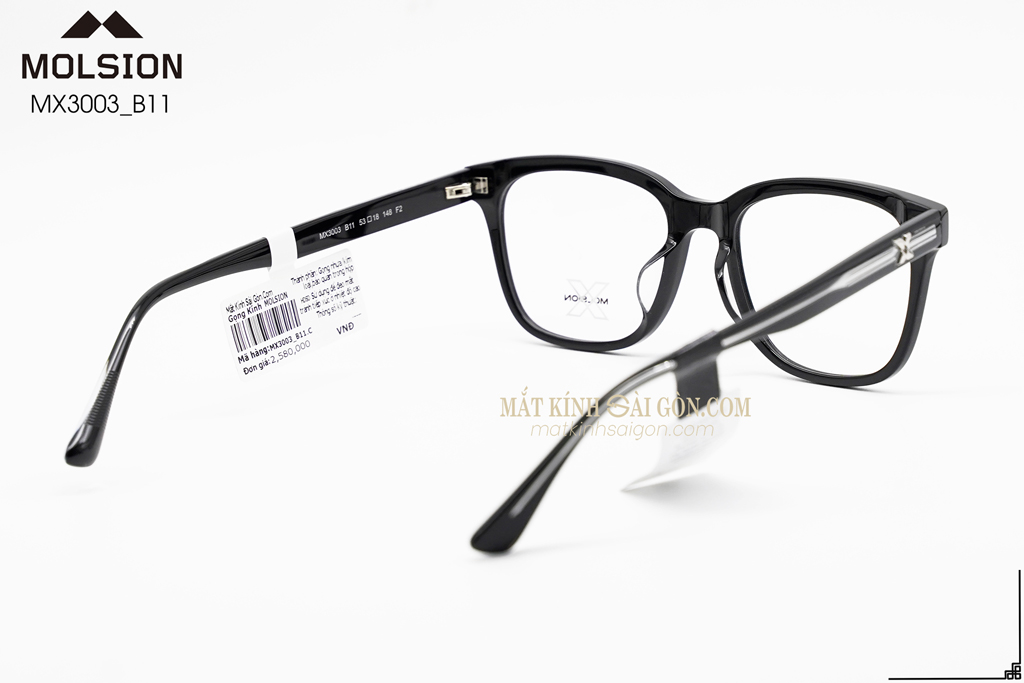 GỌNG KÍNH MOLSION MX3003 B11 - Hình 3