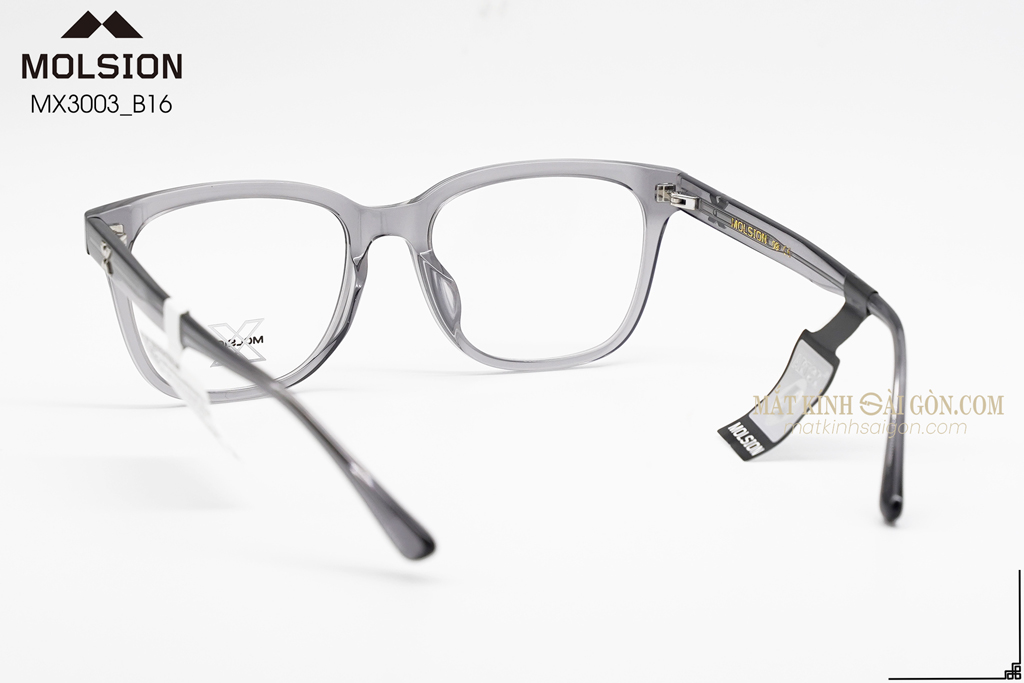 GỌNG KÍNH MOLSION MX3003 B16 - Hình 3