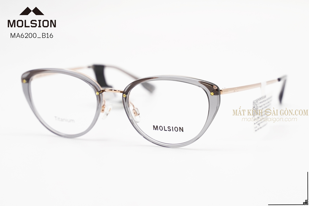 GỌNG KÍNH MOLSION MA6200 B16 - Hình 6